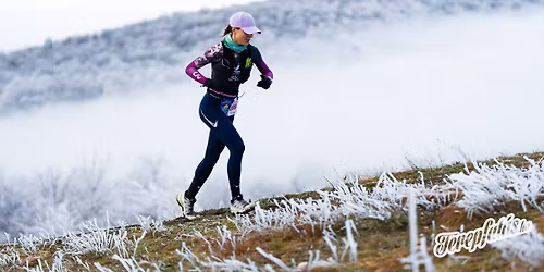 Nyúlcipőbolt Budai Trail 2026, Telki