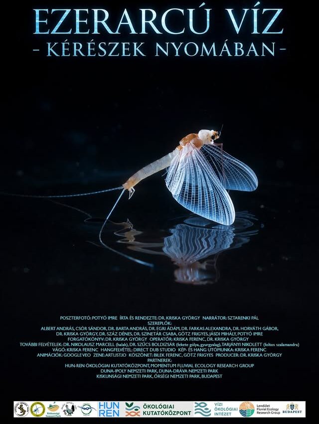Moszat Brigád at Kacsakő