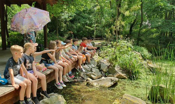Green story camp