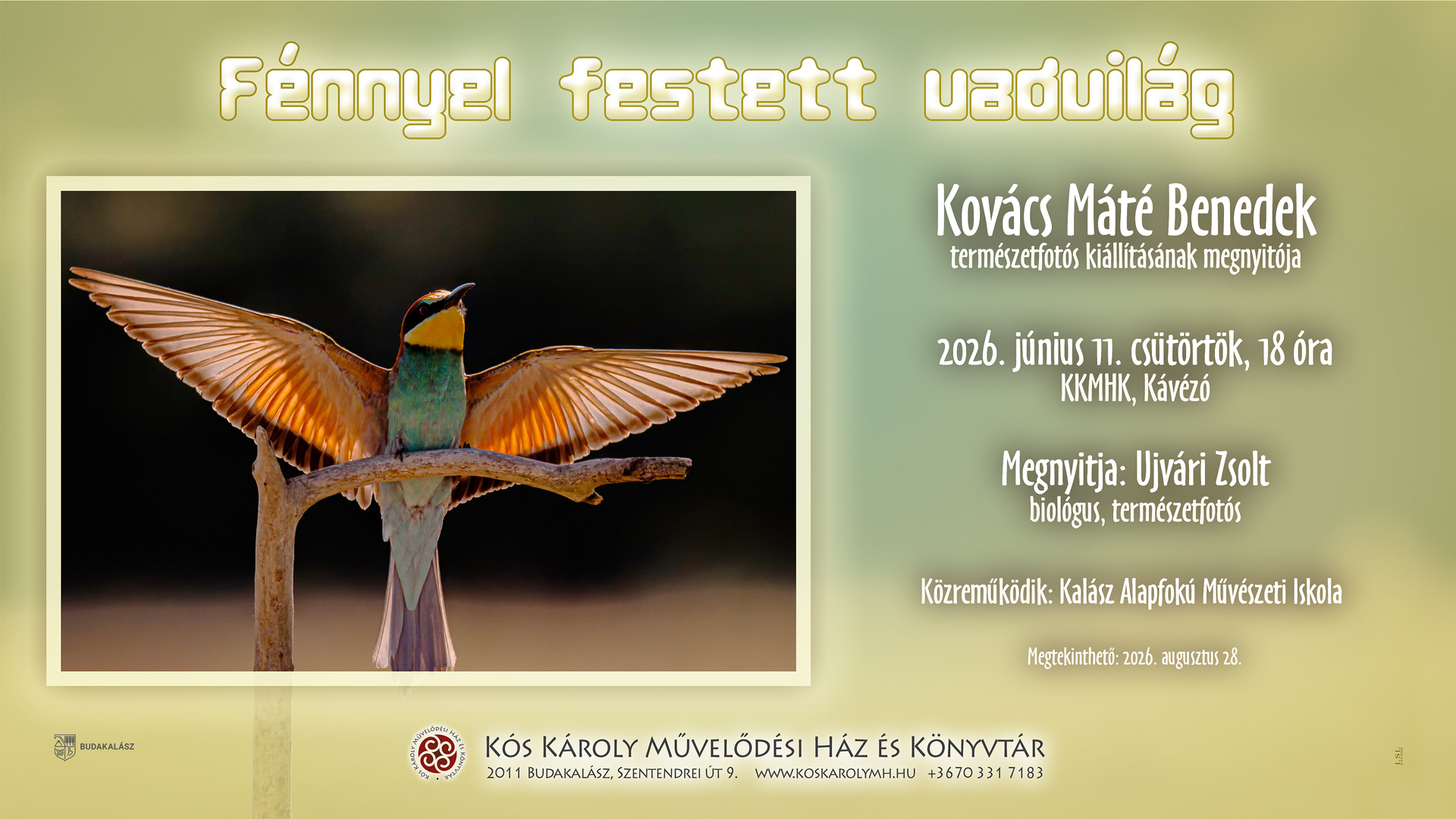 Fénnyel festett vadvilág – Kovács Máté Benedek természetfotós kiállítása