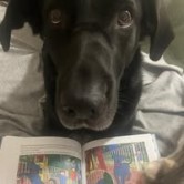 Meeting Polli, the "big black" therapy dog – Book presentation