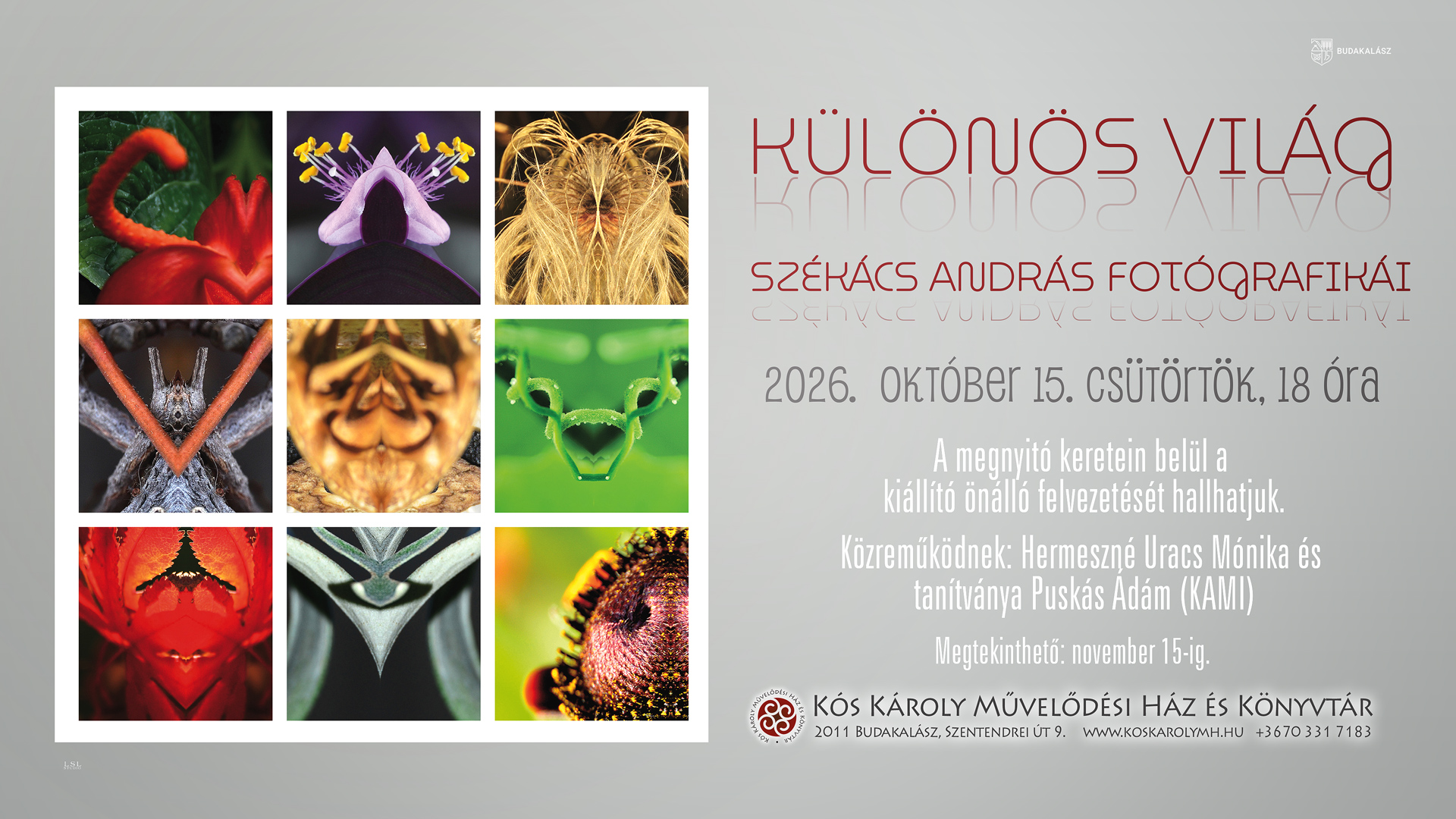 Fantasy World – Macro Photography Exhibition Opening by András Székács, Budakalász